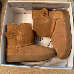 Toddler Uggs NWB